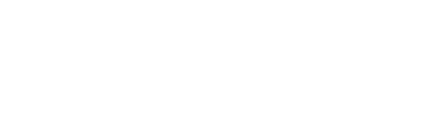The Elser